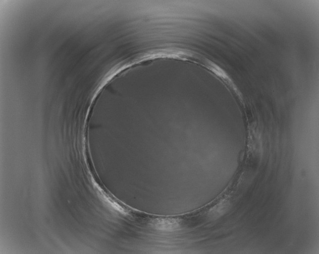 X0000081430802200701191620