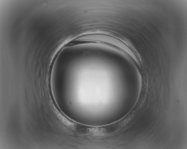 X0000081430805200701191620