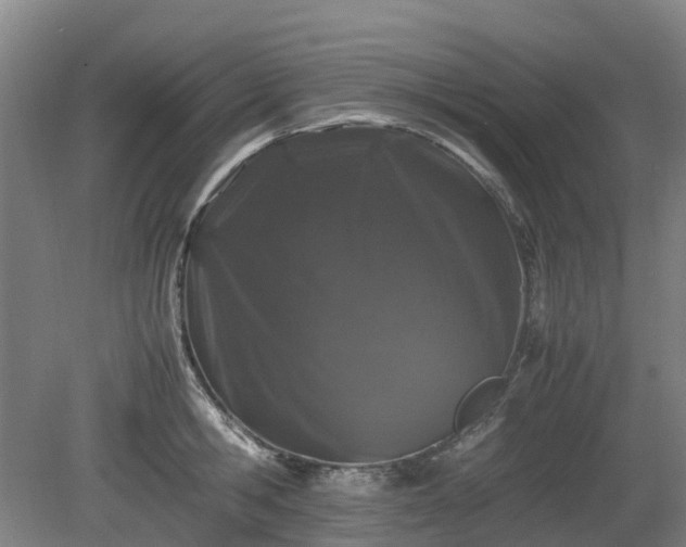X0000081430806200701191620