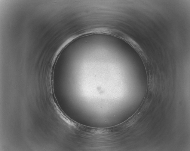X0000081430808200701191620