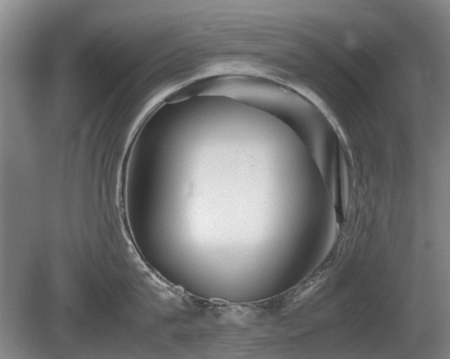 X0000081430815200701191620
