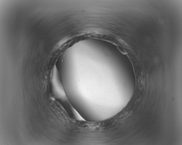 X0000081430822200701191619