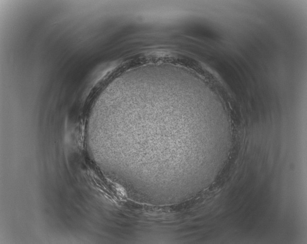 X0000081430823200701191619