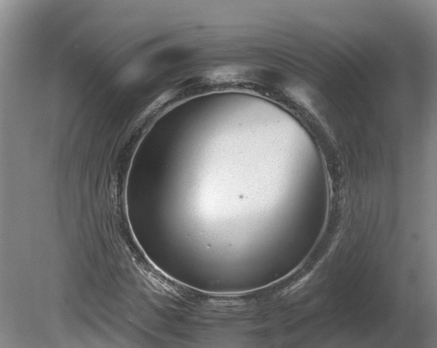 X0000081430825200701191619