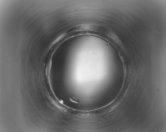 X0000081430826200701191619