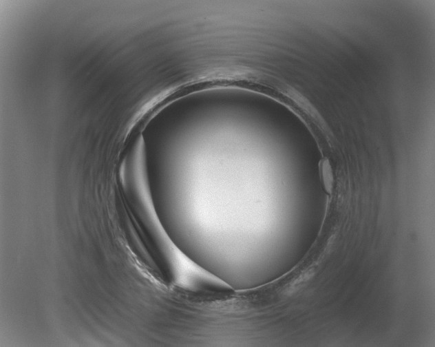 X0000081430834200701191620
