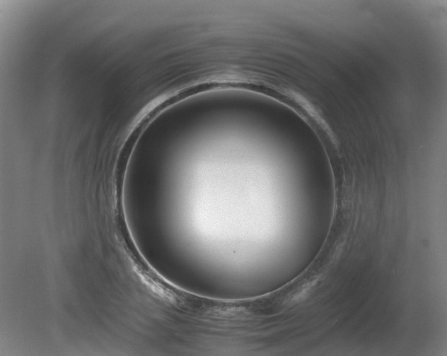 X0000081430837200701191620