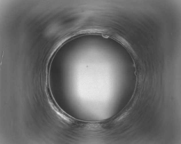 X0000081430844200701191620