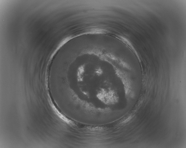 X0000081430851200701191620
