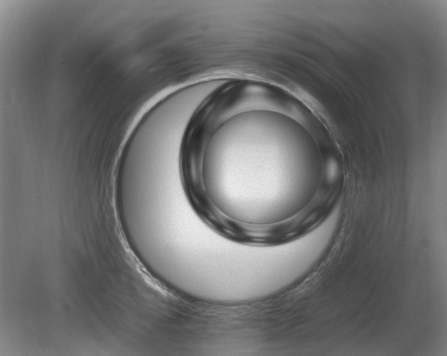 X0000081430854200701191620