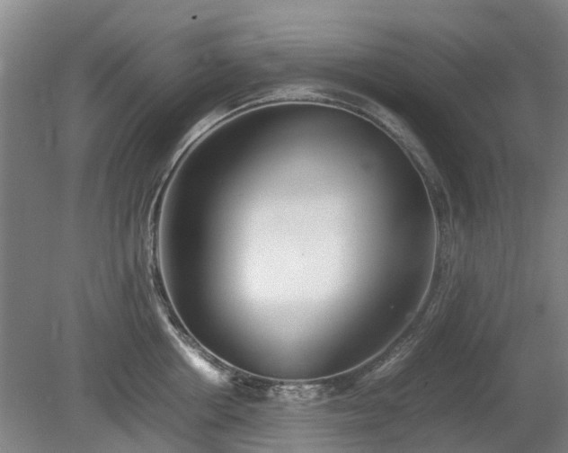 X0000081430858200701191620