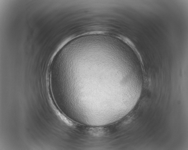 X0000081430859200701191620