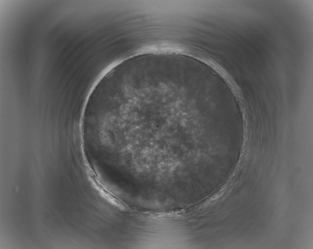X0000081430864200701191620