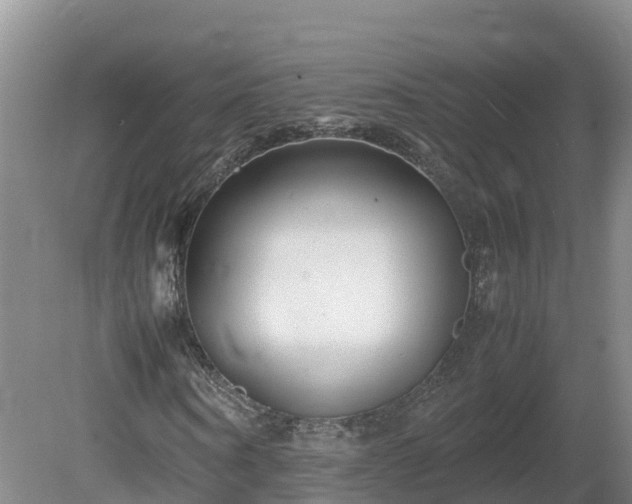 X0000081430866200701191619