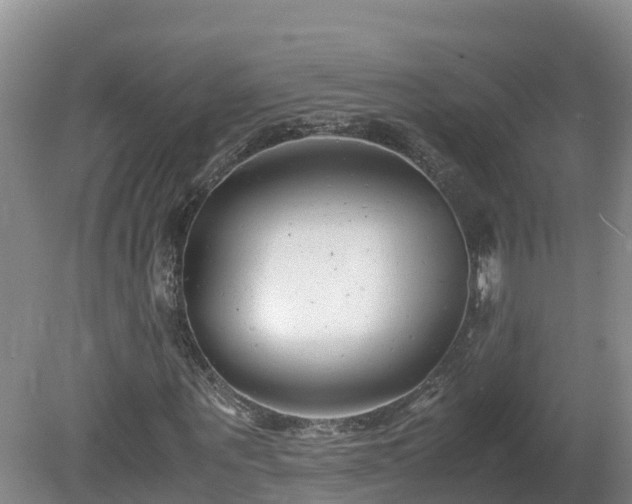 X0000081430867200701191619