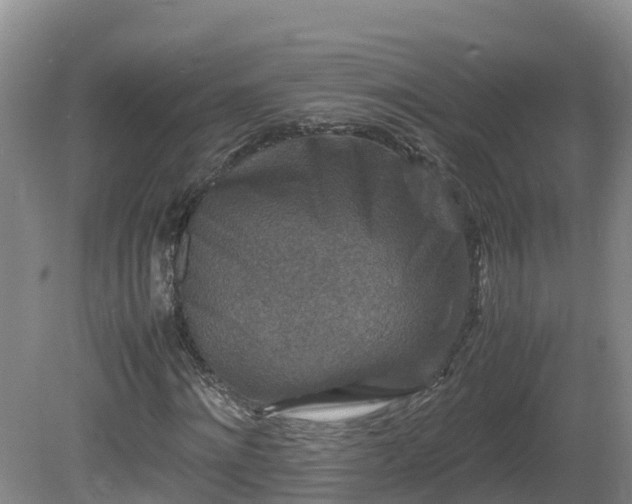 X0000081430868200701191619