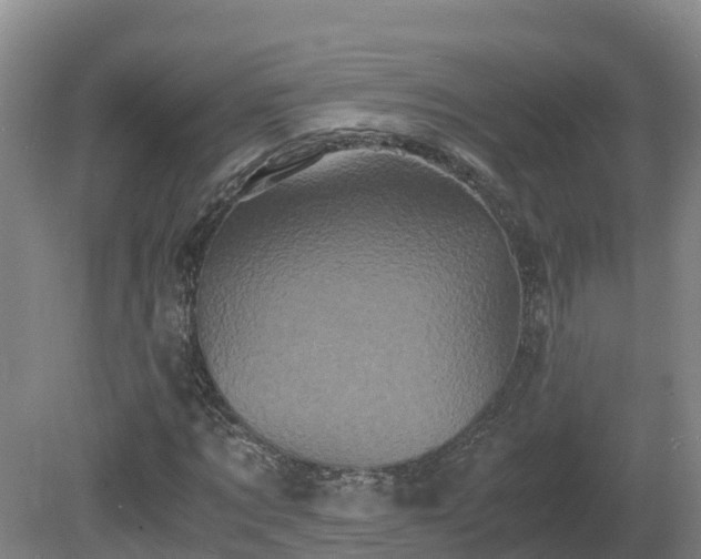 X0000081430869200701191619