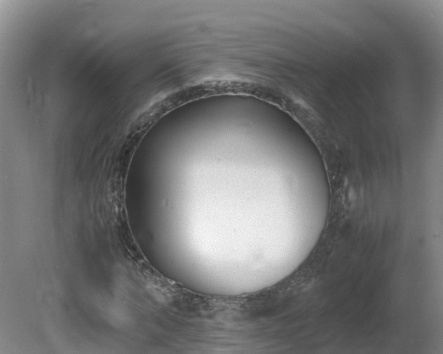X0000081430870200701191619