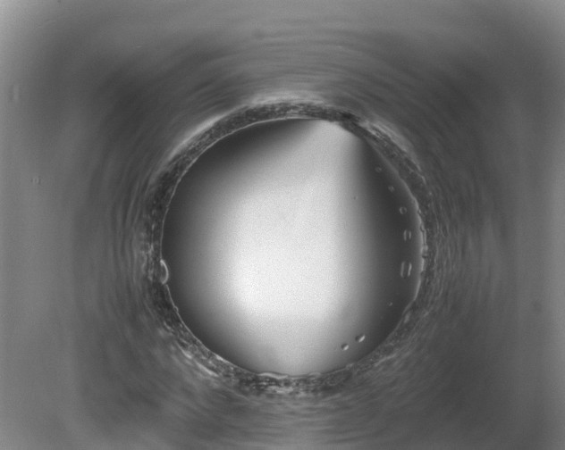 X0000081430872200701191619