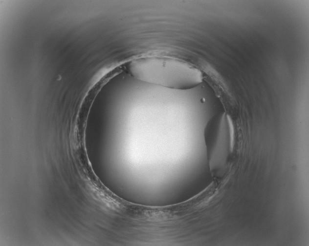 X0000081430876200701191619
