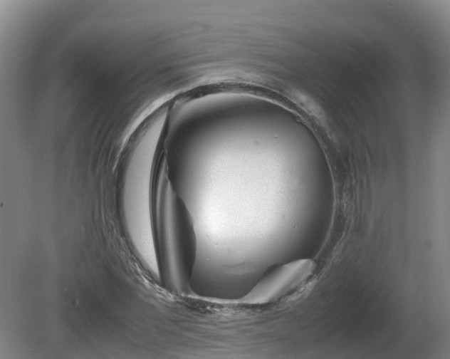 X0000081430877200701191619