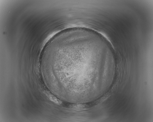 X0000081430879200701191619