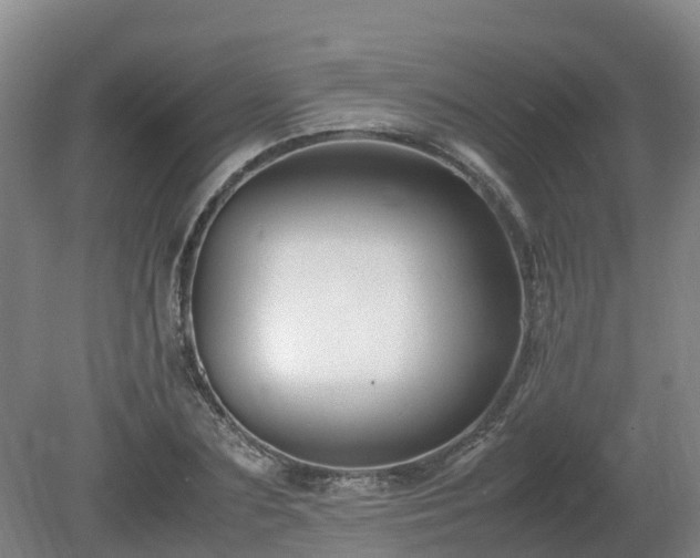 X0000081430883200701191619