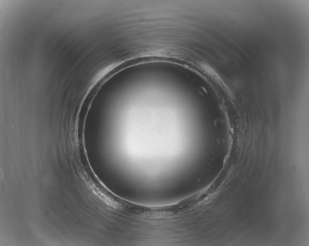 X0000081430884200701191619