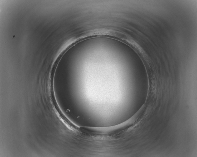 X0000081430894200701191619