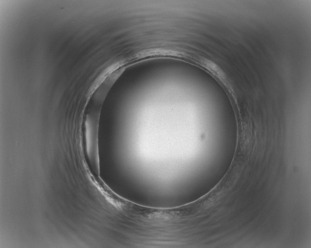 X0000081430898200701191619