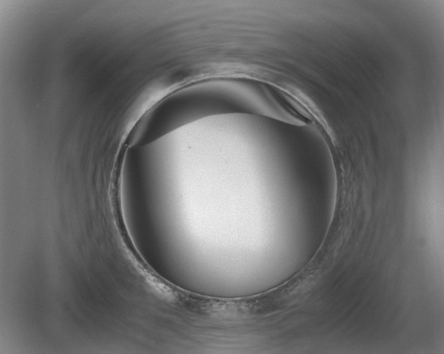 X0000081430901200701191619