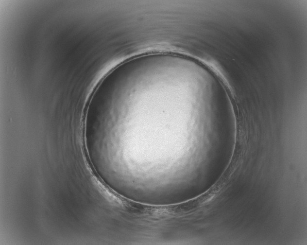 X0000081430903200701191619