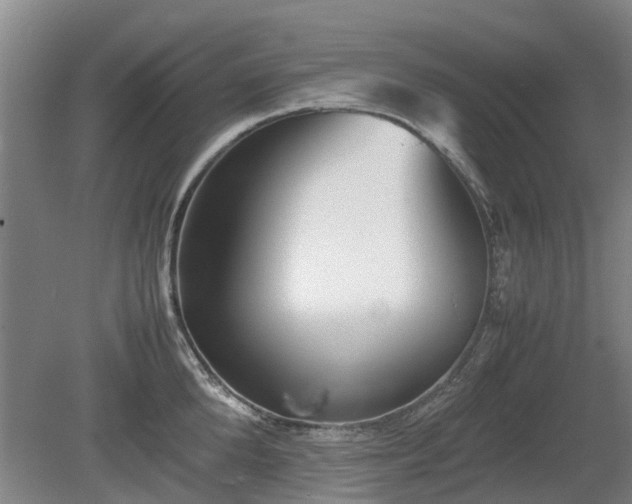 X0000081430904200701191619