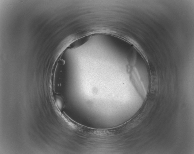X0000081430906200701191619