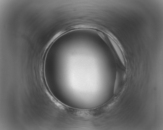 X0000081430909200701191619