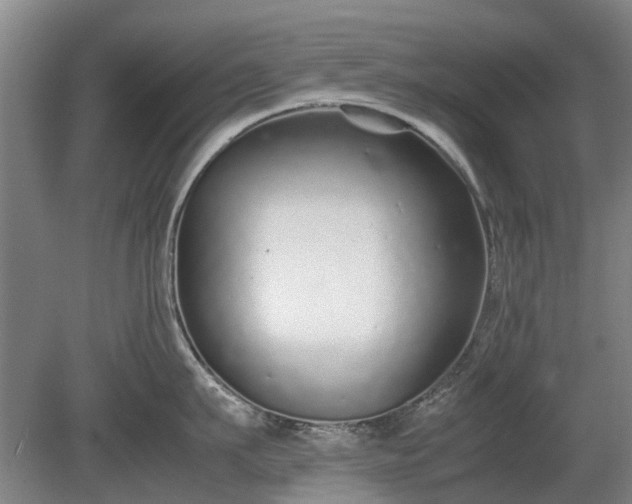 X0000081430911200701191618