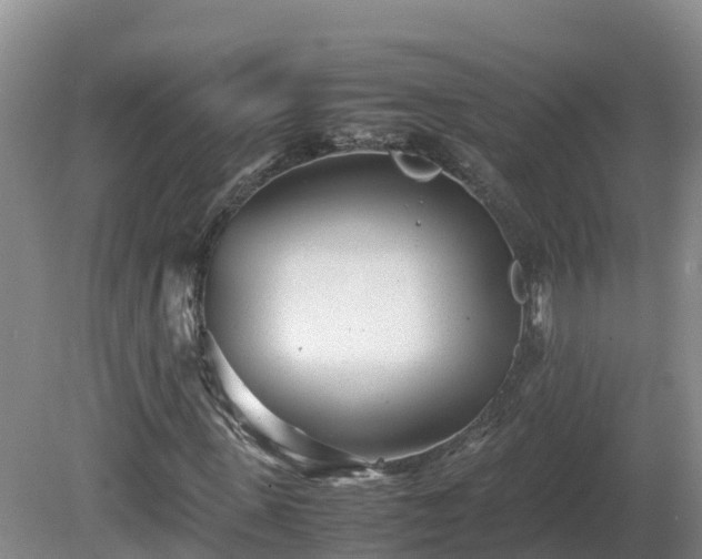 X0000081430915200701191618