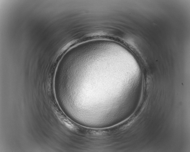 X0000081430921200701191618