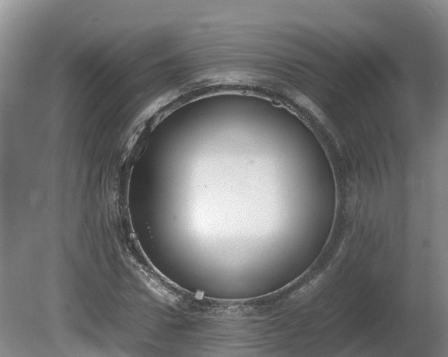 X0000081430922200701191618