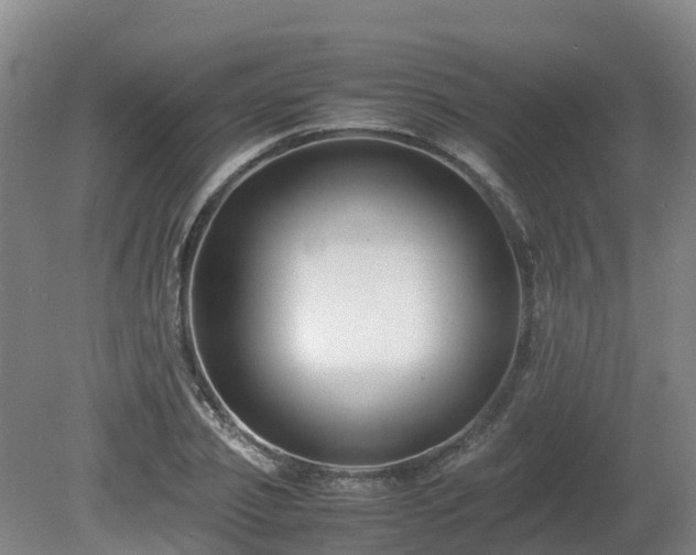 X0000081430933200701191618