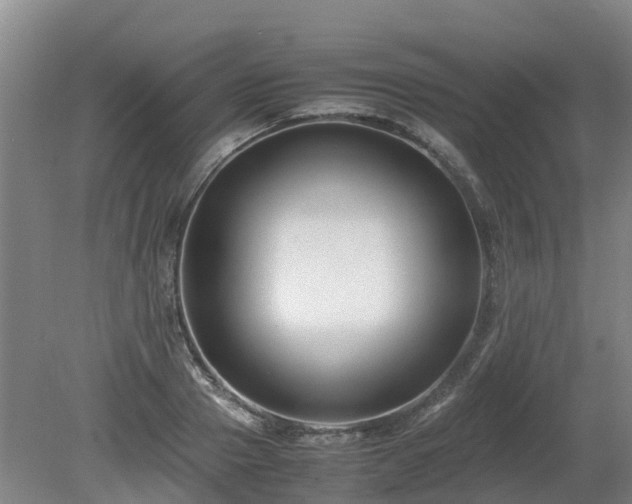 X0000081430937200701191618