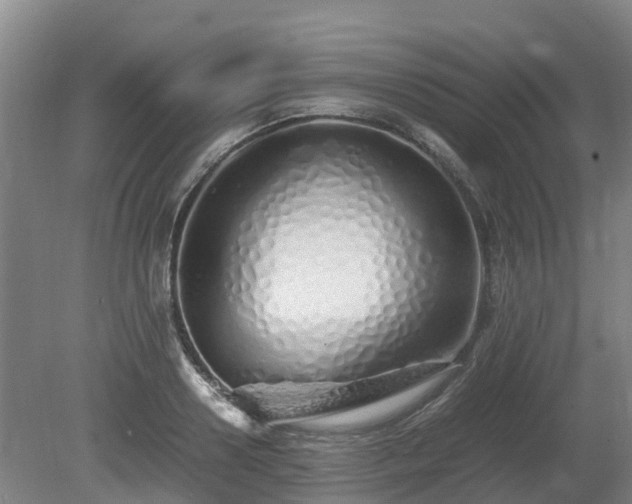 X0000081430938200701191618