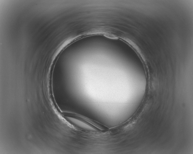 X0000081430949200701191618