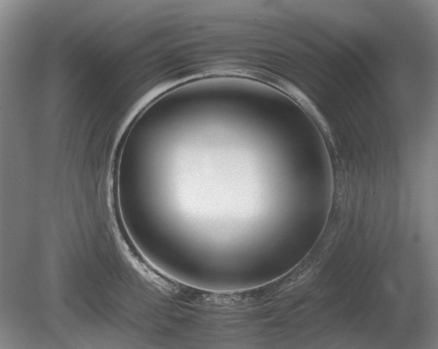 X0000081430955200701191618