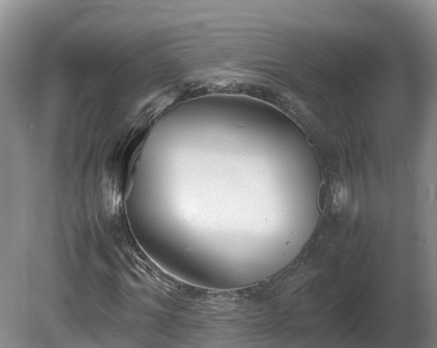 X0000081430964200701191618