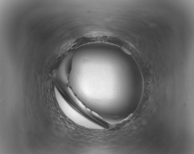 X0000081430965200701191618