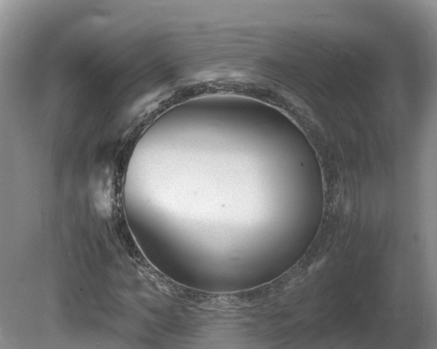X0000081430966200701191618