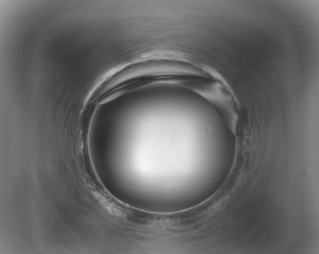 X0000081430973200701191617