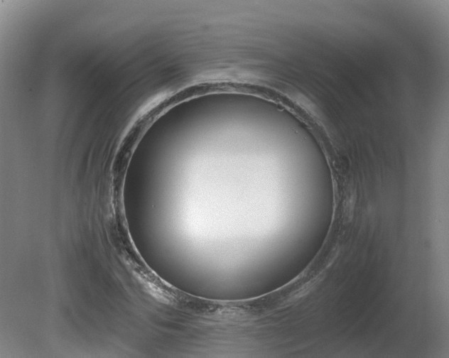 X0000081430974200701191617