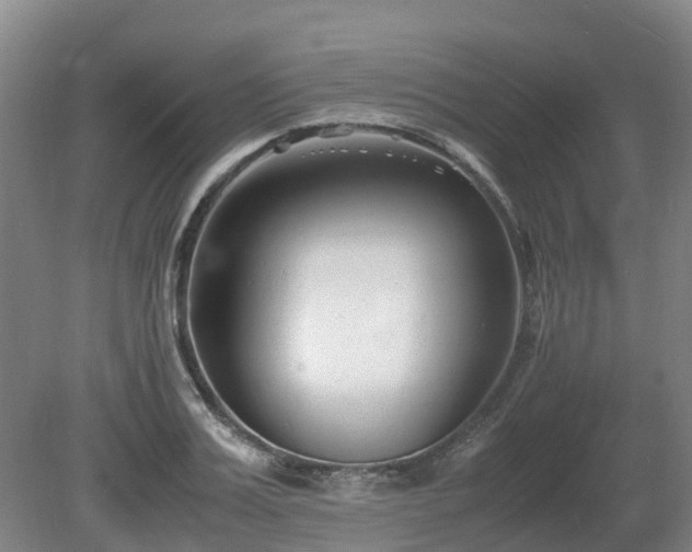 X0000081430987200701191617